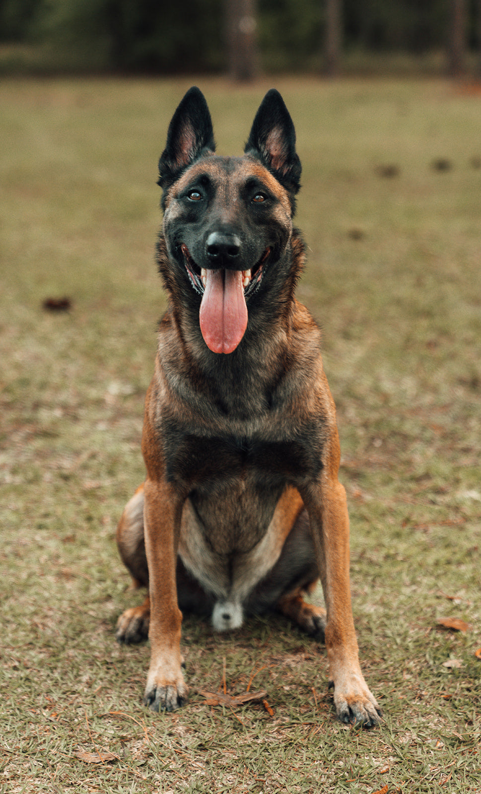 PUPS-2170_websize.jpg